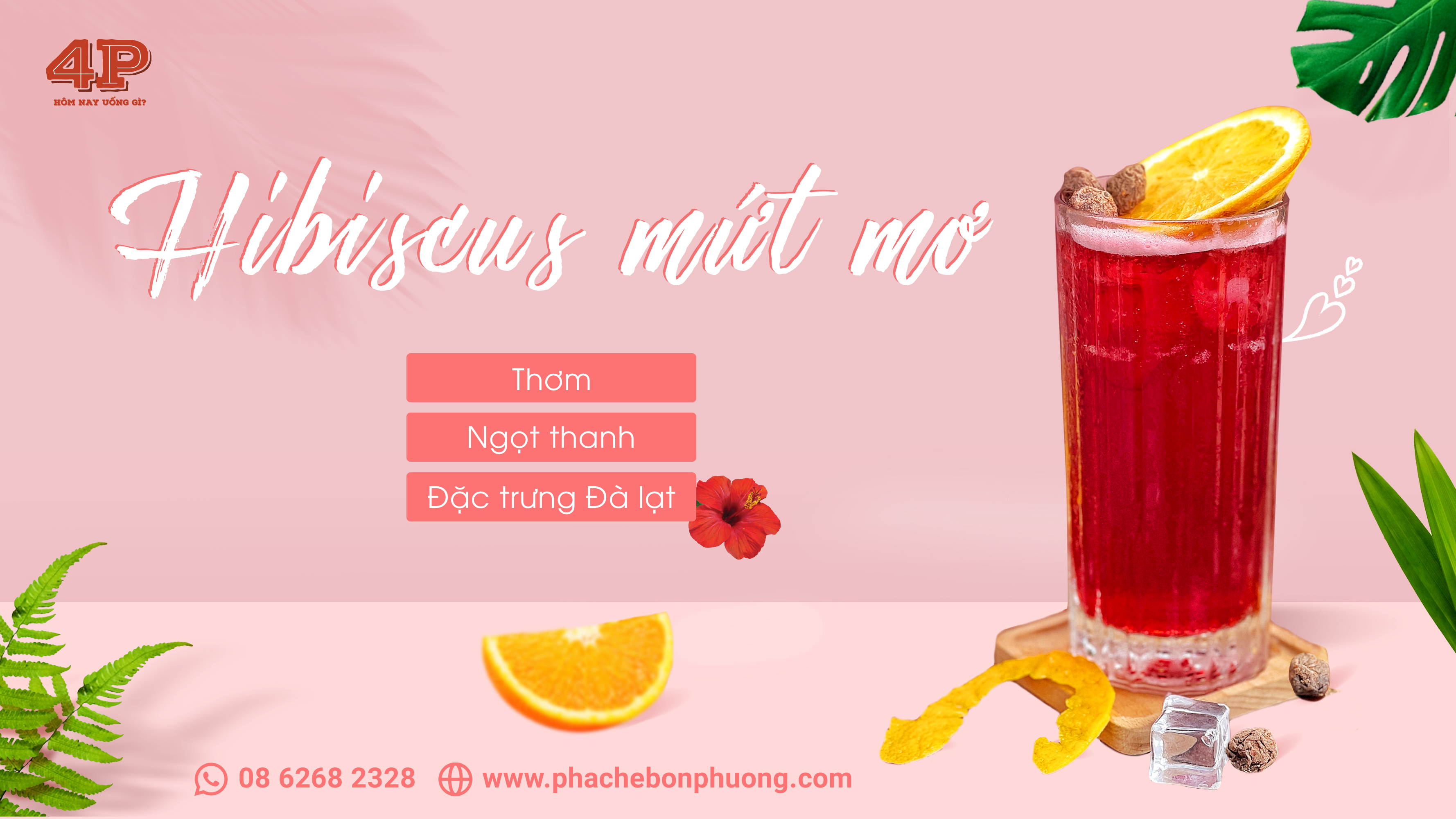 HIBISCUS MỨT MƠ